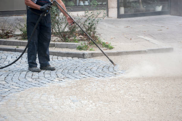 Best House Exterior Washing  in Apollo Beach, FL